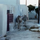  Santorini